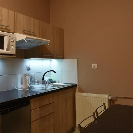 Goralska Chata - Apartamenty Blisko Centrum Zakopane Exterior photo
