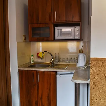 Goralska Chata - Apartamenty Blisko Centrum Zakopane Exterior photo